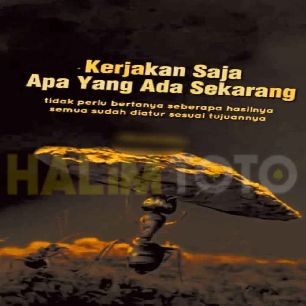 SITUS HALIMTOTO LINK TOTO TOGEL DAN BANDAR SITUS TOTO TERPERCAYA!